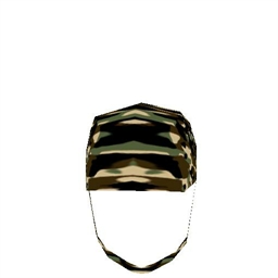 Army Helmet 1