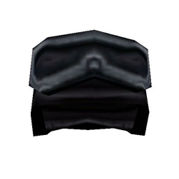 SWAT Helmet 1
