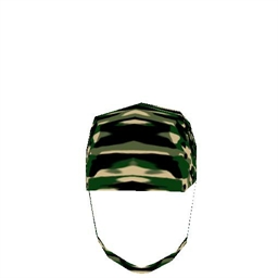 Army Helmet 4