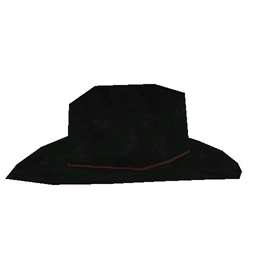 Cowboy Hat 3