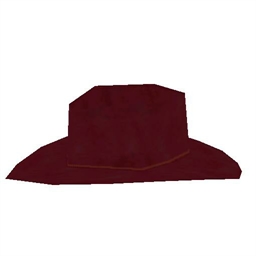 Cowboy Hat 4