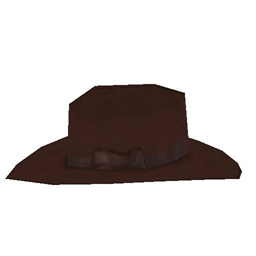 Cowboy Hat 5